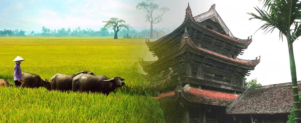 san-nhua-gia-re
